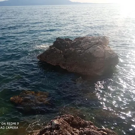 Nela بوداكا